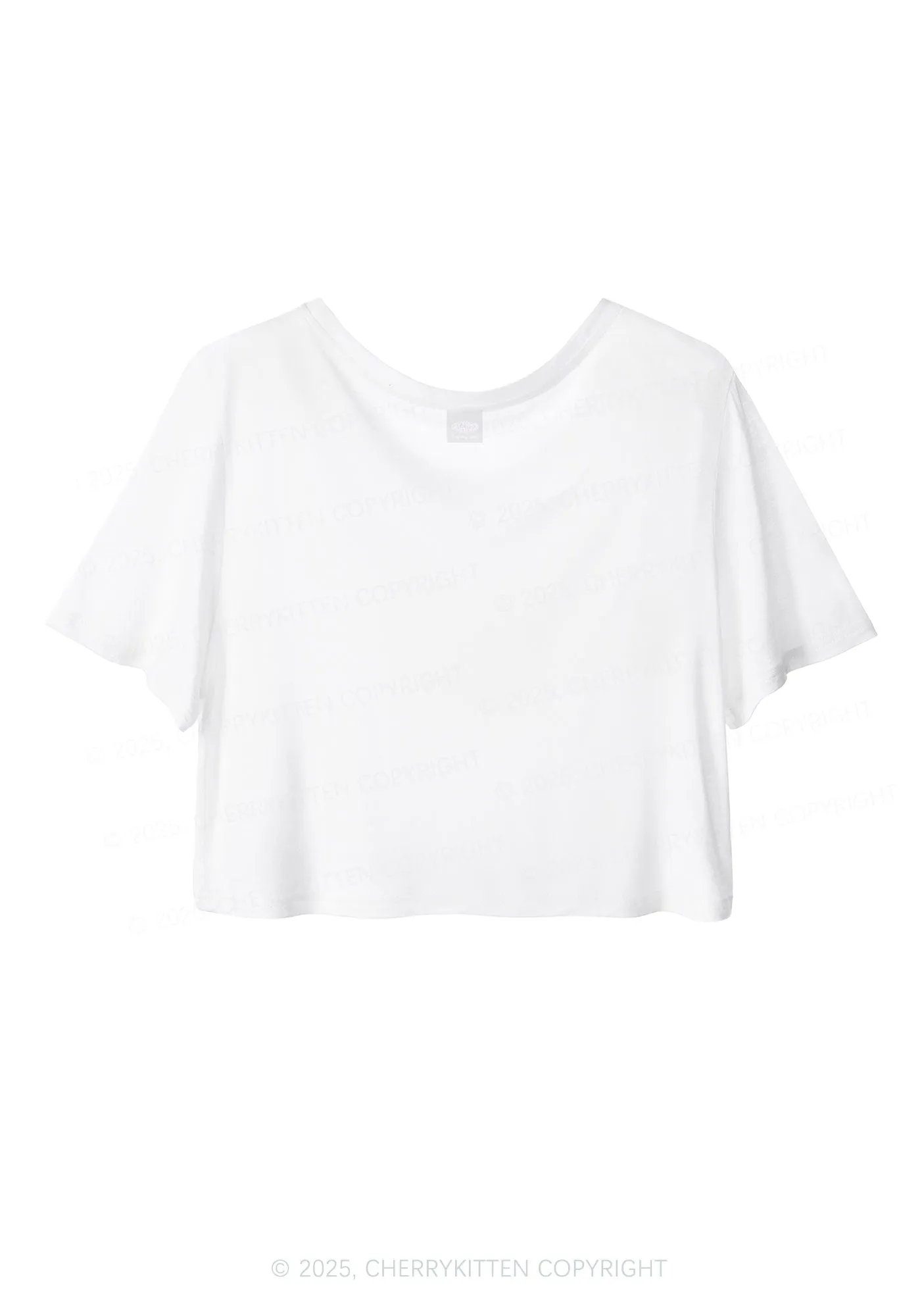 Boy Or Girl Pride Y2K Sheer Crop Tee Cherrykitten