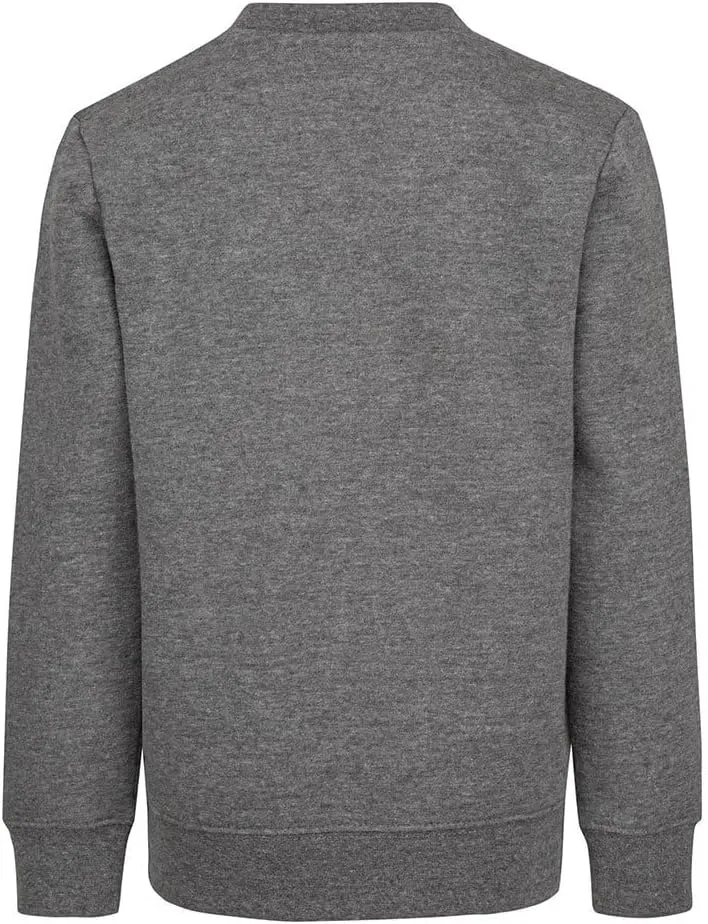 Nike Boy's Club Fleece Crew Sweatshirt (Toddler/Little Kids)