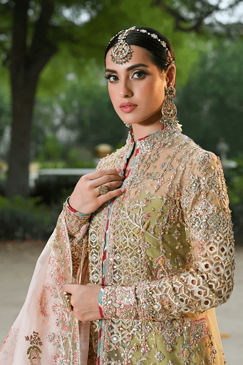 Qalamkar Singhar Net Embroidered Hand Work 3 Pc Unstitched Suits RF-07 HALENA