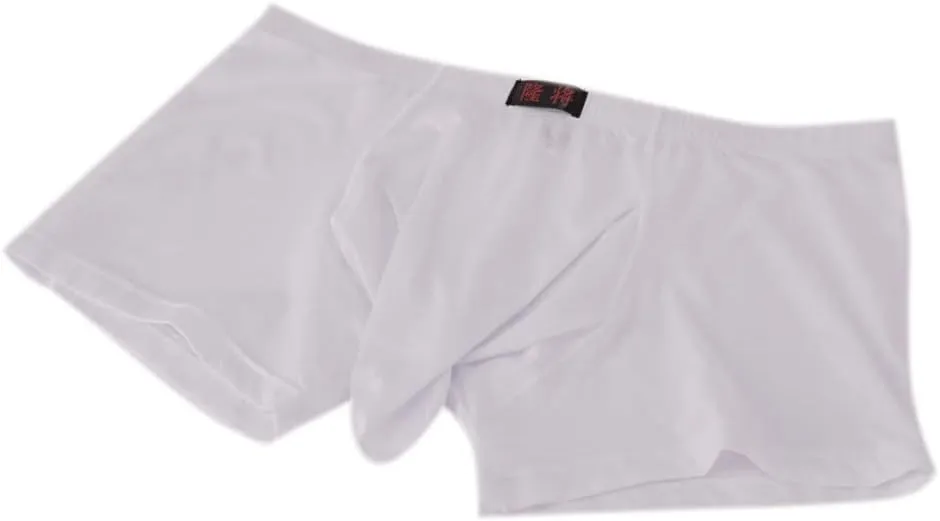 SHACE Elephant Thong for Men See Through Stretch Underpants Breathable Comfortable Trunks See Through Underwear Knickers