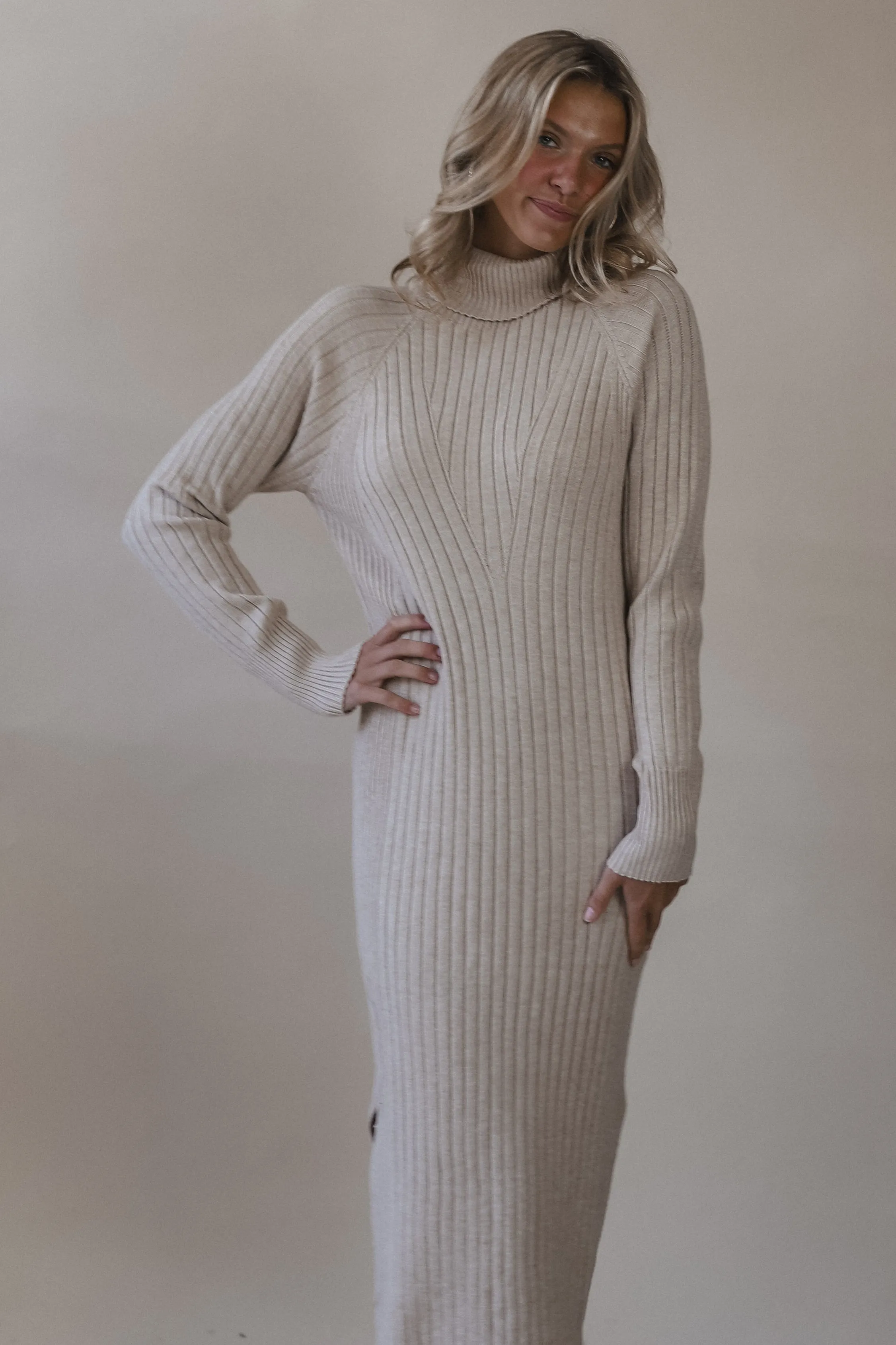 Tara Turtleneck Ribbed Sweater Dress